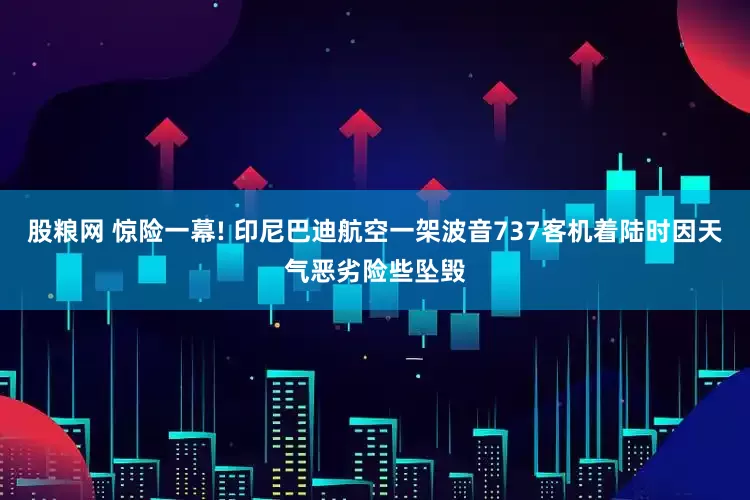 股粮网 惊险一幕! 印尼巴迪航空一架波音737客机着陆时因天气恶劣险些坠毁