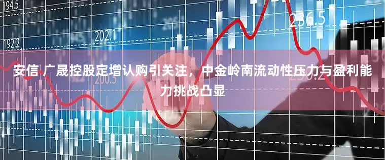 安信 广晟控股定增认购引关注，中金岭南流动性压力与盈利能力挑战凸显
