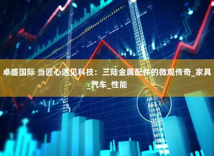 卓盛国际 当匠心遇见科技：三陆金属配件的微观传奇_家具_汽车_性能